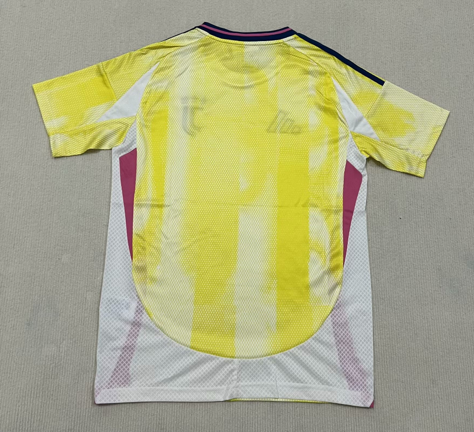 Maillot Juventus Extérieur 2024/2025